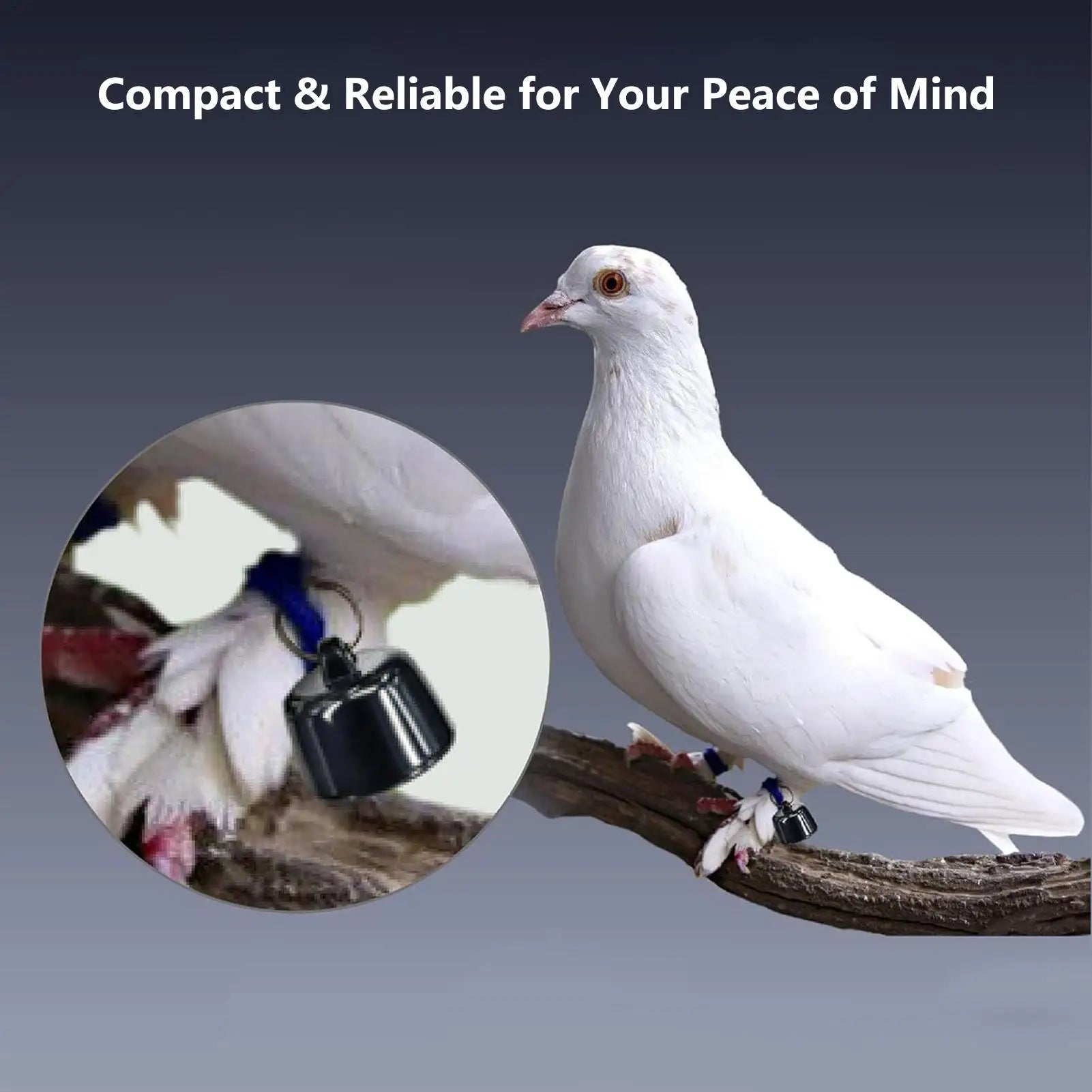 Mini GPS Tracker for Pets Birds Pigeon, Waterproof Real-Time Location Tracking, Anti-Loss Device with Geo-Fencing for Dogs Cats